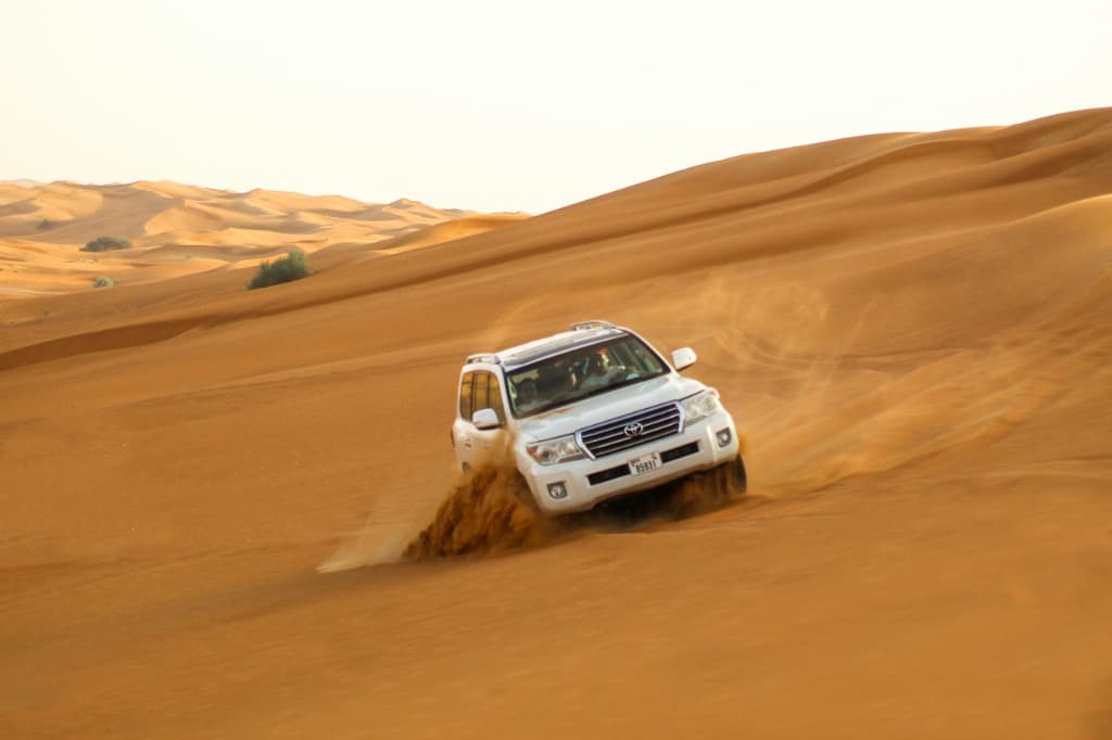 Desert Safari Experience